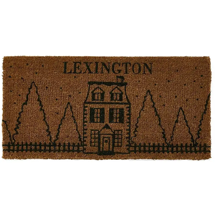 House Coir Fibre Türmatte