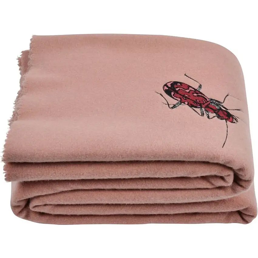 Couverture Révélation