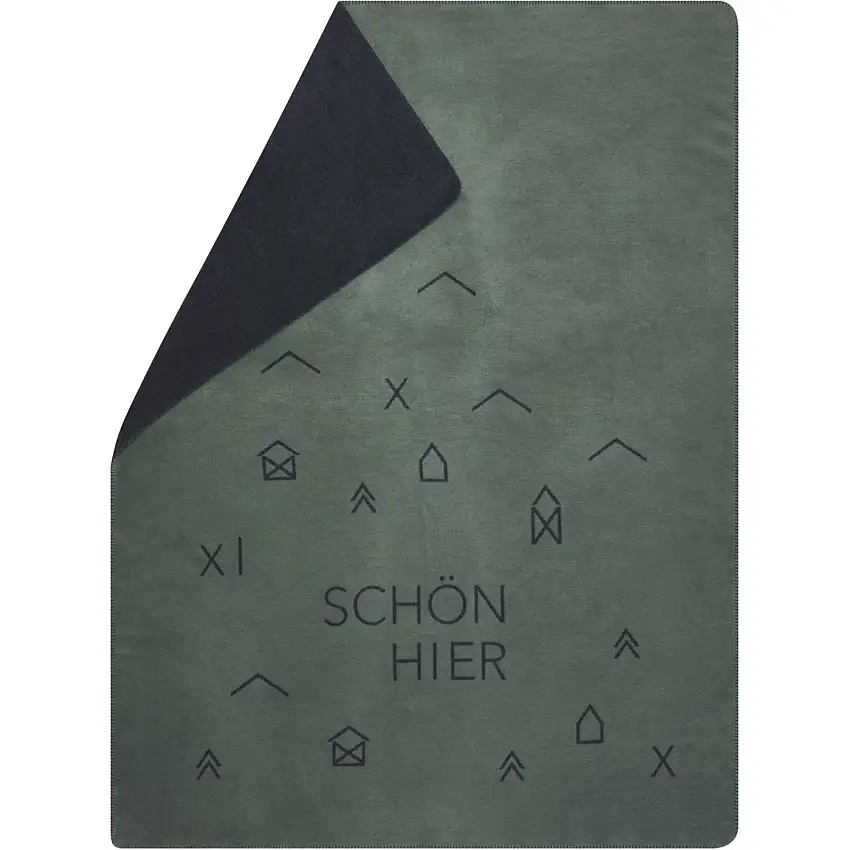 SAVONA Belle couverture ici