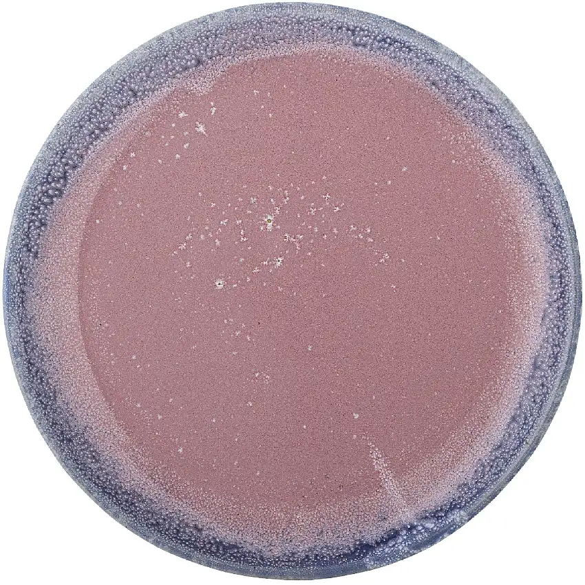 Assiette à déjeuner en grès Paula de