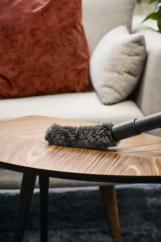 AEG AZE144 Plumeau pour Nettoyer en Douceur Les Objets délicats Compatible avec Les aspirateurs traîneaux 32/35 mm Noir