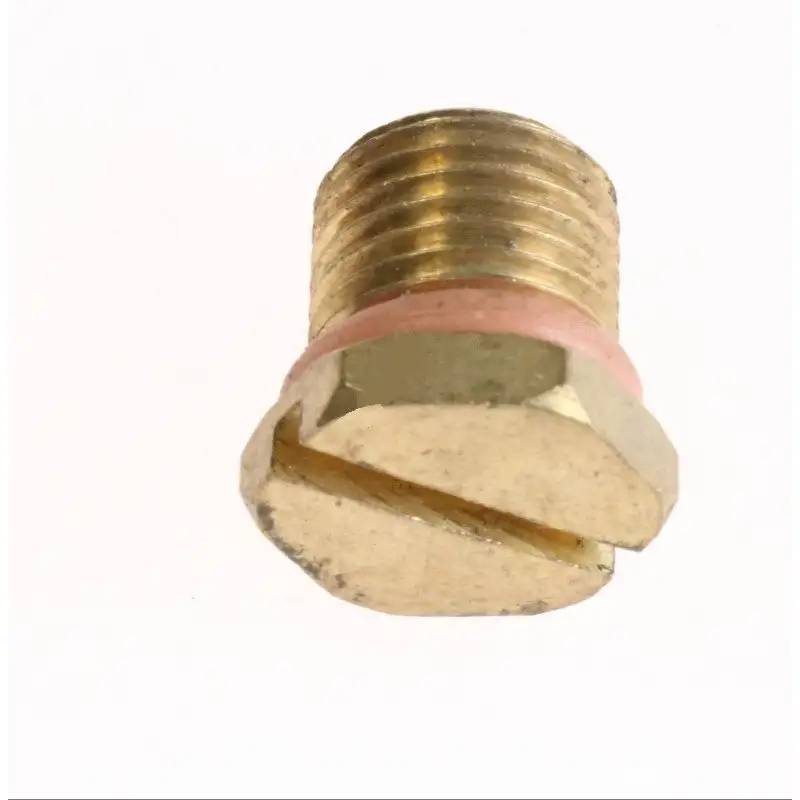 Bouchon à vis de vidange pour Nettoyeur Vapeur GRUNDIG 759551706500