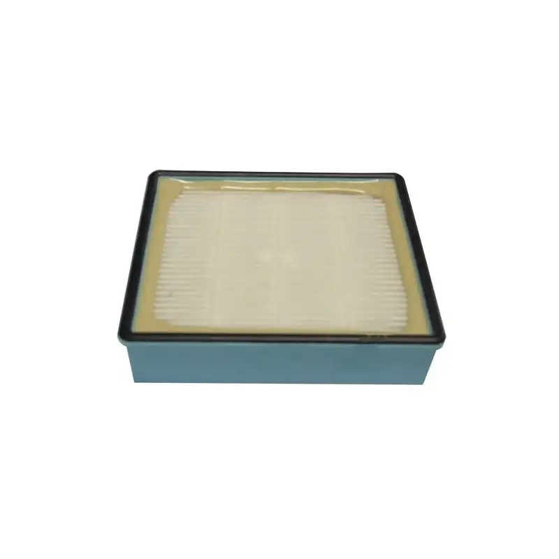 Filtre hepa pour Aspirateur PHILIPS 422245946221