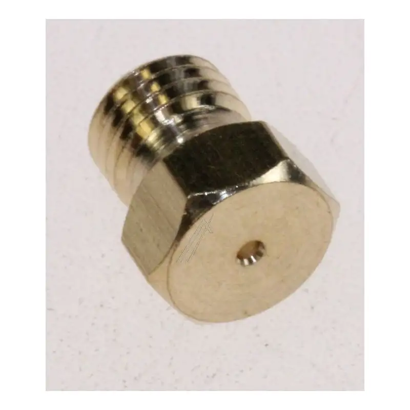 Injecteur diam 0,98 cm (3,6 kw) pour Cuisinière BEKO 431920098